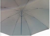 umbrella